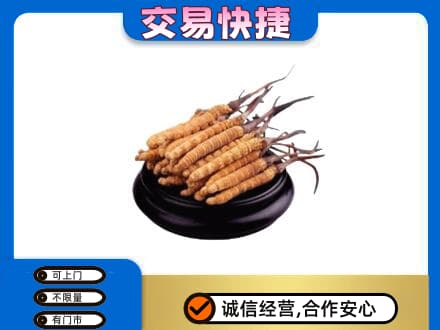 白城礼品回收散虫草.jpg